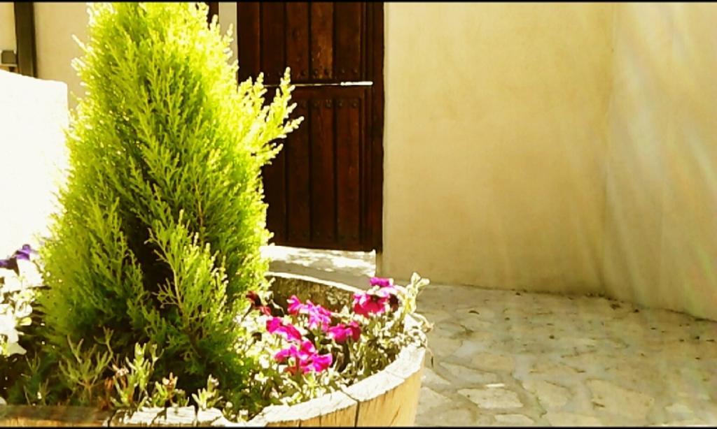 El Jardincillo Konuk evi Robledo de Chavela Dış mekan fotoğraf